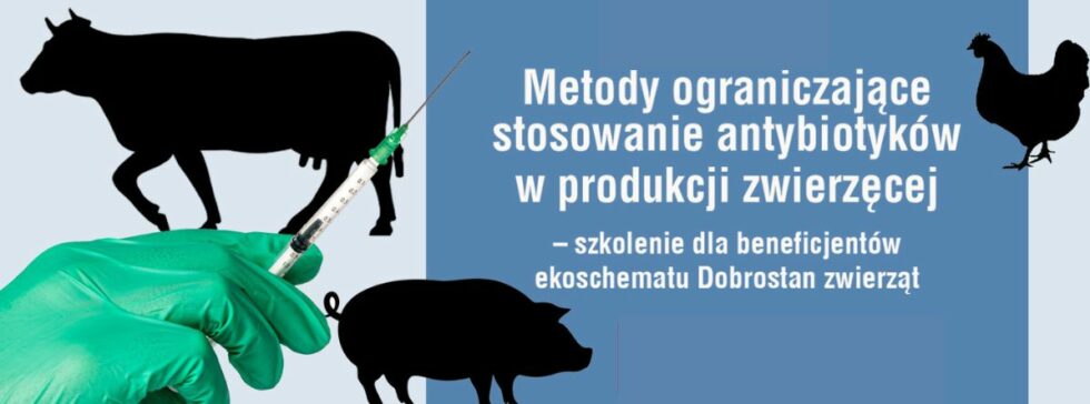 Ręka w rękawiczce trzyma strzykawkę. Napis "Zapraszamy na bezpłatne szkolenie wszystkich rolników realizujących interwencję dotyczącą dobrostanu zwierząt,